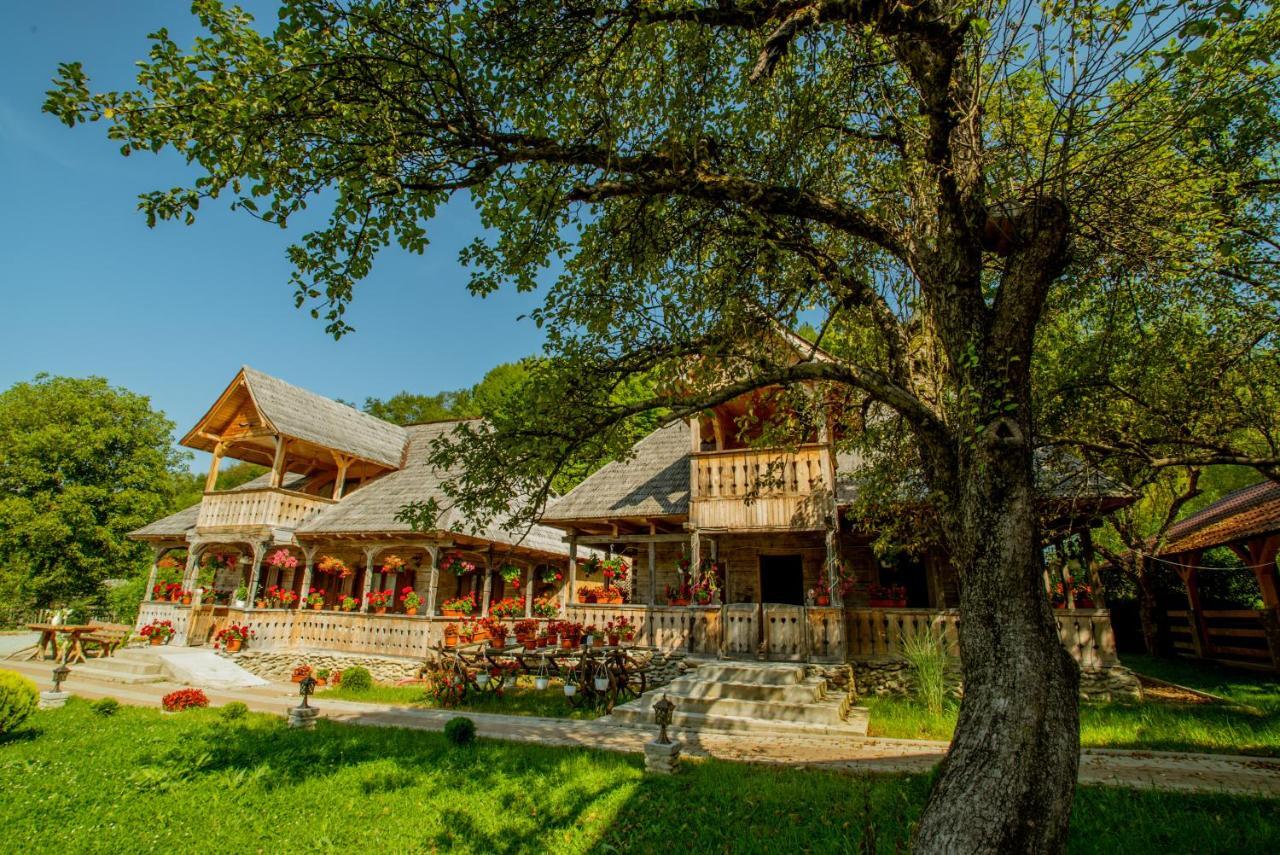 Casutele Din Moisei Hotel Ngoại thất bức ảnh